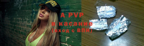 стаф Абинск