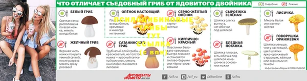 стаф Абинск