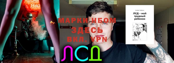 дмт Абаза