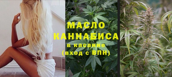 стаф Абинск
