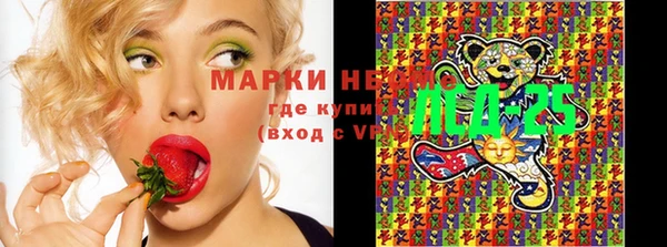 стаф Абинск