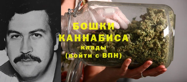 стаф Абинск