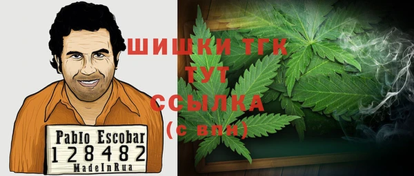 стаф Абинск