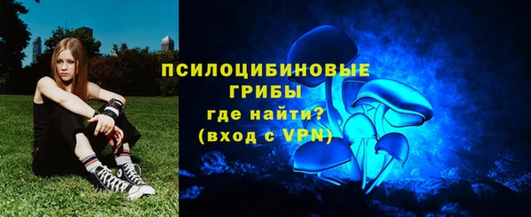 стаф Абинск